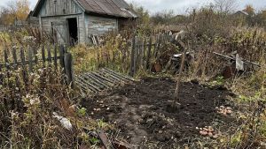 Пензенцам запретили сажать картошку на заброшенных участках соседей