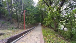В Пензенской области до 26 октября сохранится высокая пожарная опасность