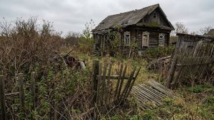 Пензенцам объяснили правила освоения и признаки заброшенности земельных участков