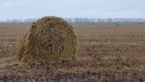 В Средней Елюзани пожар уничтожил хозпостройку и 80 тюков сена
