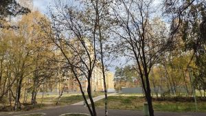 До -4 градусов похолодает в Пензенской области ночью 25 октября
