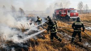 Пензенские спасатели за неделю потушили 56 ландшафтных пожаров