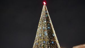 В Пензе назвали дату и место проведения новогодней Губернаторской елки