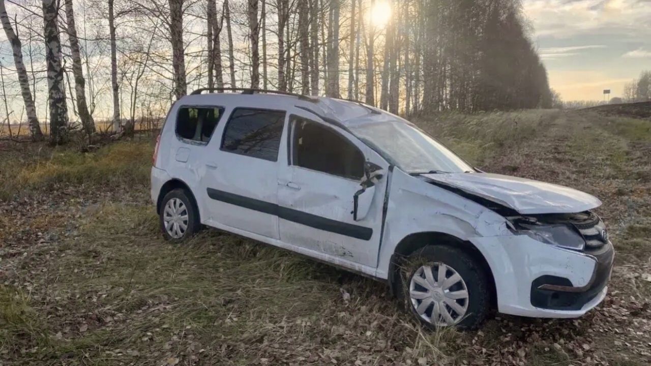 В Земетчинском районе автомобиль вылетел с дороги, водитель погиб