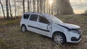 В Земетчинском районе автомобиль вылетел с дороги, водитель погиб