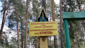 Пенза третий год подряд стала лидером по организации детского летнего отдыха