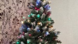Как украсить дом к Новому году по фэншуй, чтобы привлечь деньги и счастье