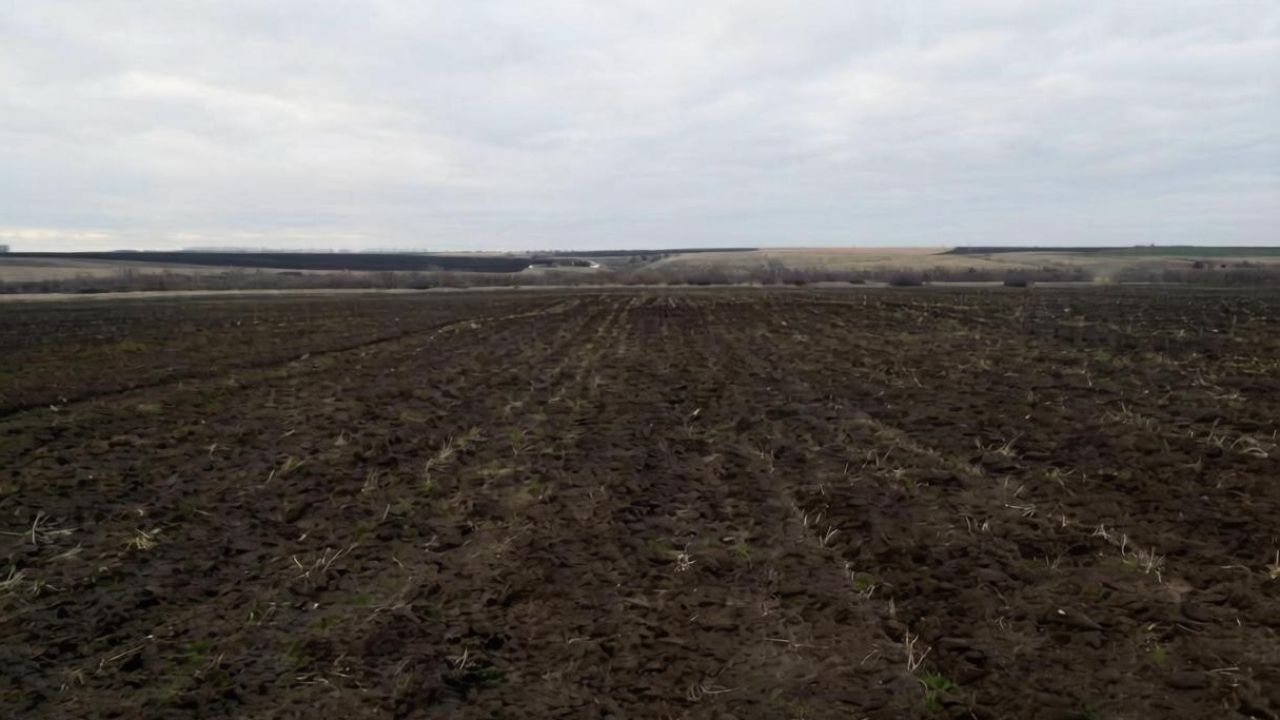 В четырех районах Пензенской области проведут археологические разведки