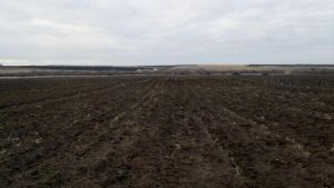 В четырех районах Пензенской области проведут археологические разведки