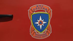 За сутки в Пензенской области потушили десять пожаров