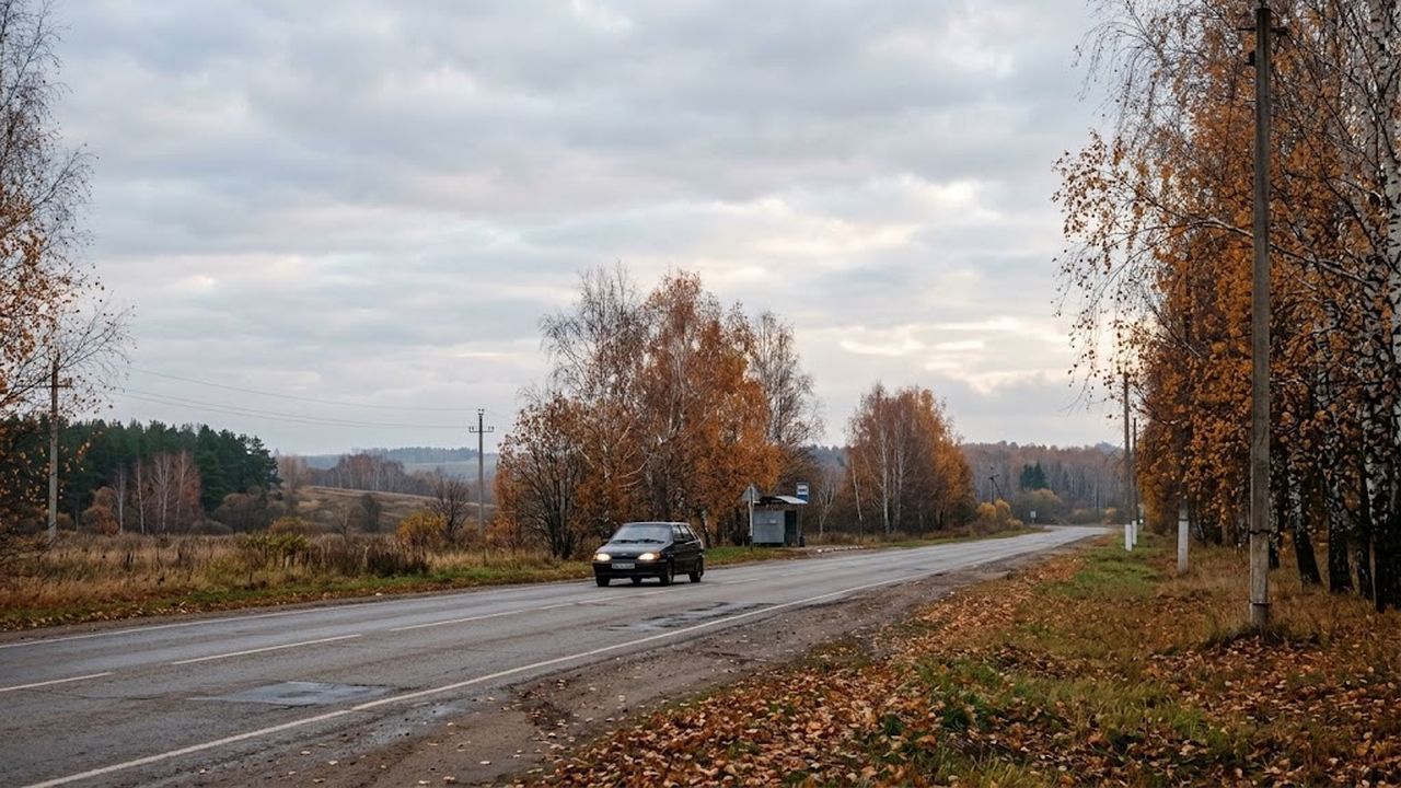 Тепло до +15 и циклон с юга: погода в Пензенской области в ближайшие 3 дня