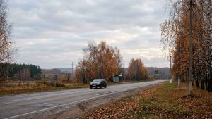Тепло до +15 и циклон с юга: погода в Пензенской области в ближайшие 3 дня