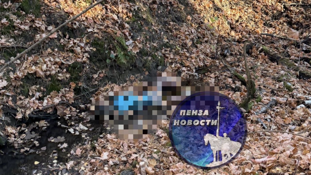 Соцсети: в пензенском лесу обнаружили мертвого человека
