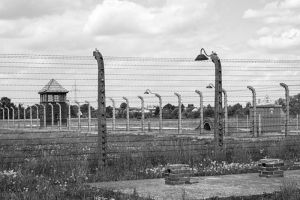 «Полицейскому» из Новосибирска грозит пятилетний срок в пензенской тюрьме