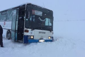 Рейсовый автобус и «ВАЗ» слетели с трассы под Пензой. Фото