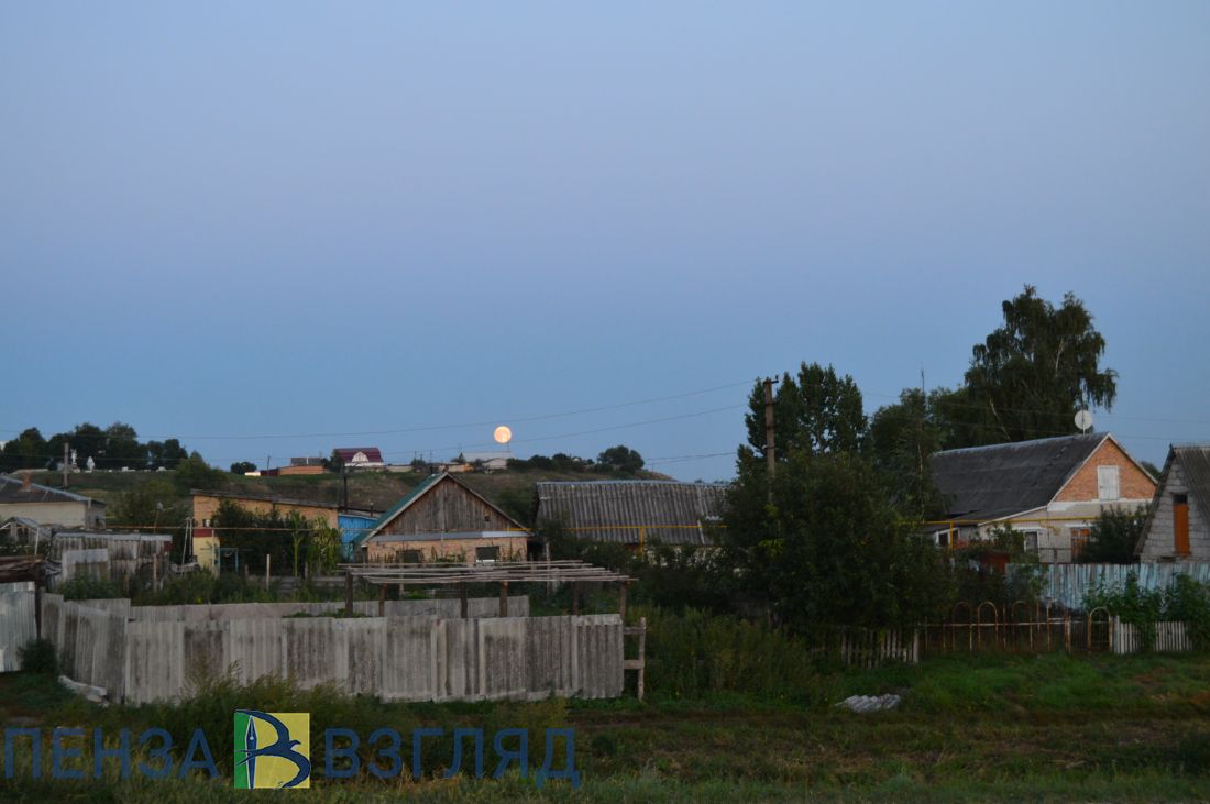 Житель Пензенской области оставил односельчанина без электропилы