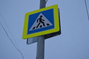 В Пензенской области поймали около 250 нарушителей-пешеходов
