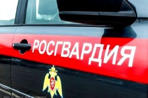 Пензенские росгвардейцы задержали находившуюся в федеральном розыске женщину