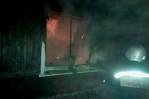 В ночном пожаре в Пензенской области погибла женщина