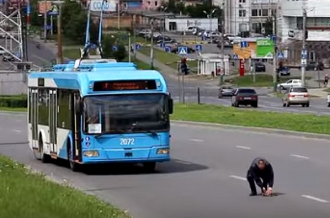 В Пензе водитель остановил троллейбус, чтобы спасти котенка