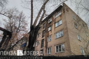 Пензенская Госжилстройтехинспекция отреагировала на обрушения на Ударной и Краснова