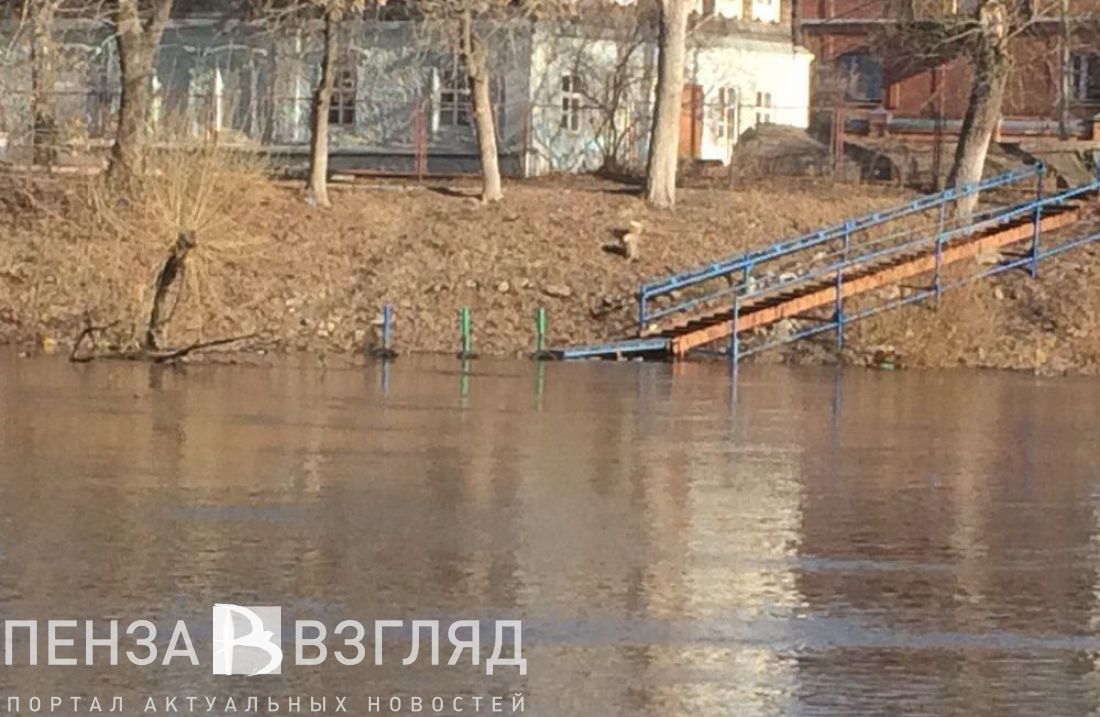 Понтонный мост пенза спутник. Понтонный мост Пенза Спутник режим. Понтонный мост Пенза Русеев. Понтонный мост Пенза Бессоновка.