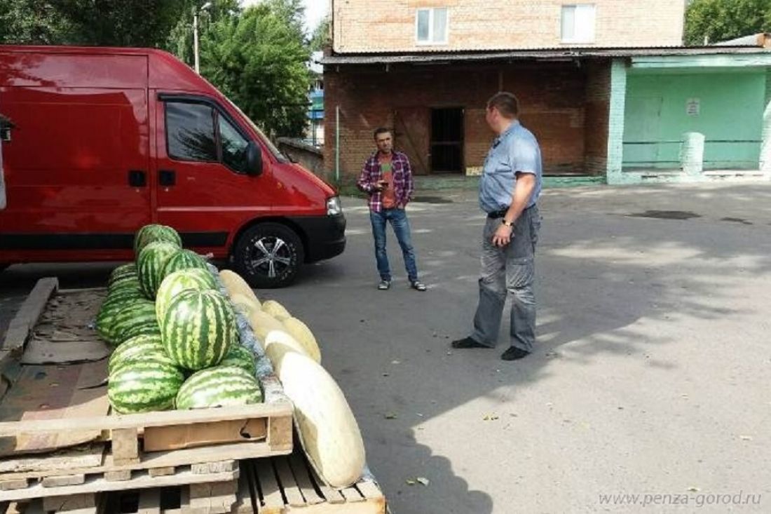 Арбузов владимир михайлович пенза фото