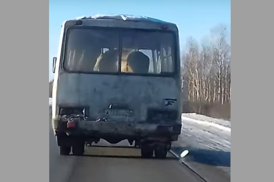 Автомобилист снял на видео, как корову перевозят в пассажирском автобусе