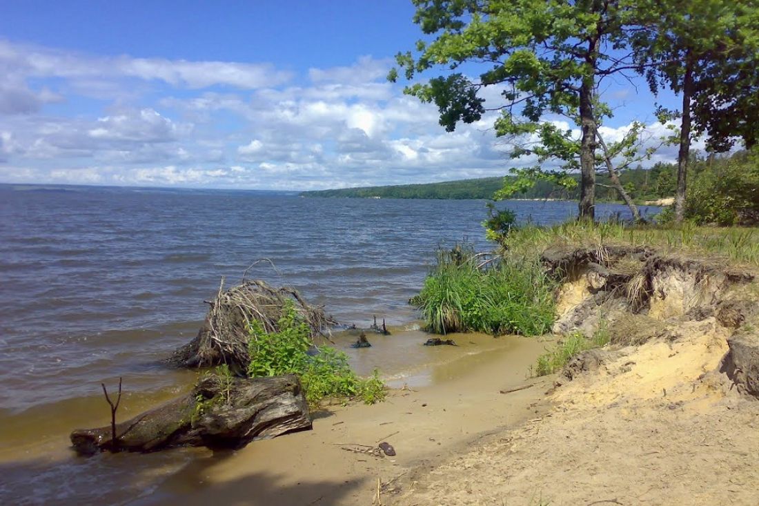 Берег Сурского водохранилища