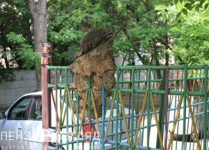 Фотовзгляд: и дольше века длится пень…