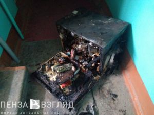 Сгоревший холодильник и гора мусора в «нехорошей квартире». Подробности и фото из пензенской многоэтажки на Вадинской