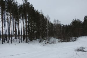 Девять жителей Пензенской области могут лишиться права осуществлять охоту