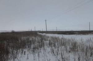 В Пензенской области охотник нашел тело мужчины, жестоко убитого в гостях