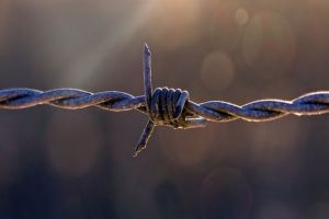 Пензенца осудили за приобретение и хранение конопли