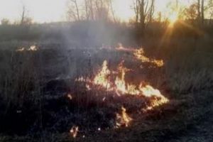 В Воскресеновке Пензенского района загорелось семь гектаров травы