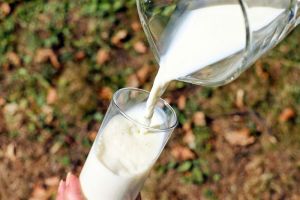 В Пензенской области вырос надой молока и производство скота