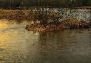 Стало известно, чье тело нашли спасатели в пензенской реке Сура