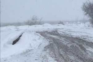 На полигоне ТБО в Пензе бульдозером раздавили мужчину