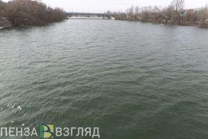 Стало известно, где было обнаружено тело пропавшей пензячки