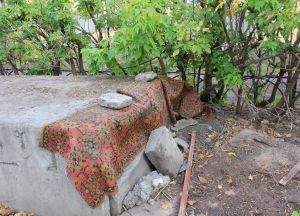 Фотовзгляд:  Аль ковер не тешит взор? Аль не тот в ковре узор?