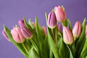 8 Марта пензячки могут быть шокированы подарком