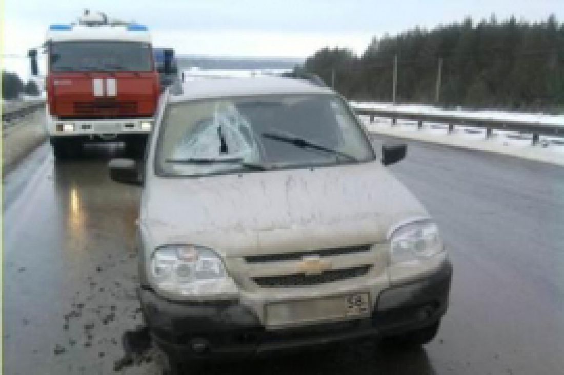 В пензенском микрорайоне Ахуны две легковушки устроили аварию