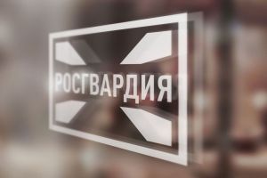 Пензенская Росгвардия рассказала о задержании дебошира с ножом в пензенском магазине