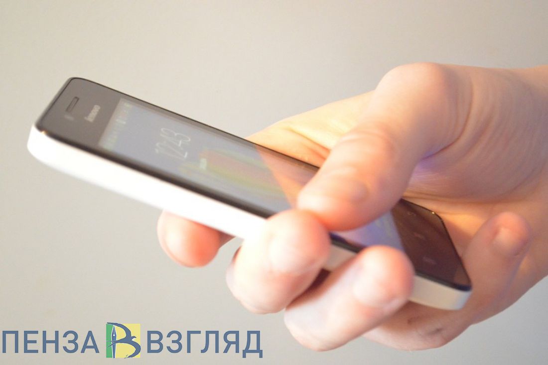 Жительница Пензенской области заявила в полицию на парня, обманувшего ее сына