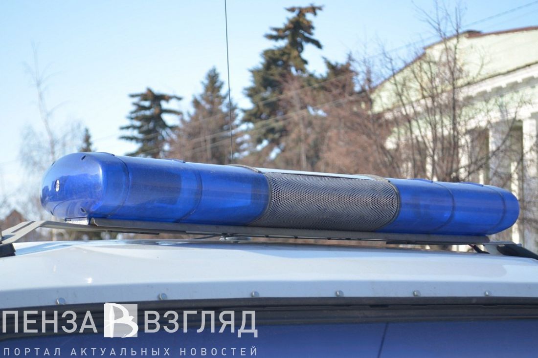 В Пензенской области ищут пропавшую Нину Пашигореву