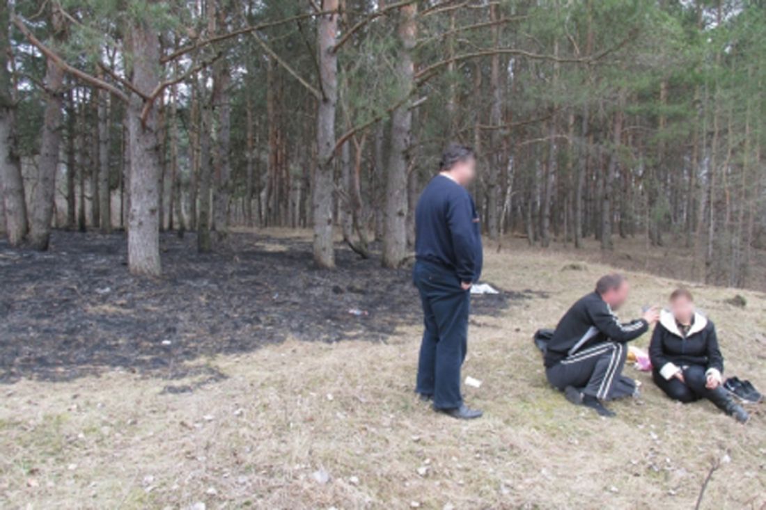 В Пензенской области трое пьяных подожгли сухую траву в лесу