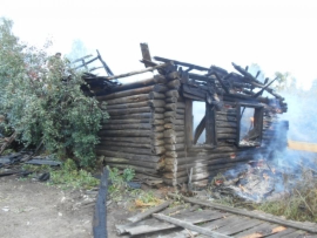 В Пензенской области выгорел нежилой дом