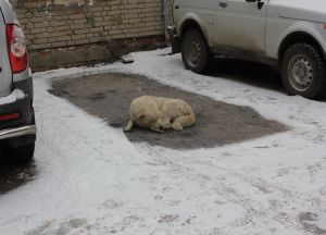 Фотовзгляд: умная парковка