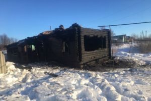 Пензенский Следком проводит проверку по факту пожара, унесшего жизнь пенсионера