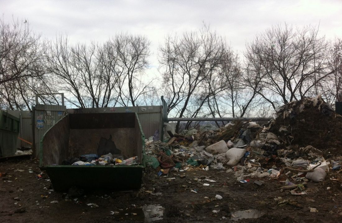 Пензенец попросил установить камеры на чудовищной свалке